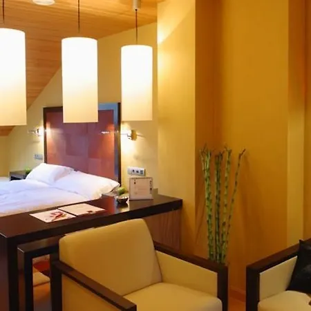 Fruela Hotel 3*